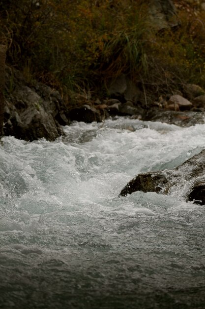 봄 동안 아름다운 흐르는 강 샷-월페이퍼에 적합
