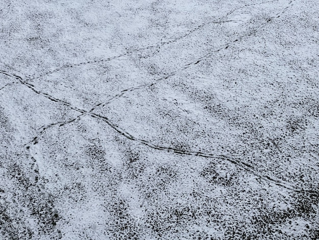 雪に覆われたコンクリートの床に痕跡が残っているショット