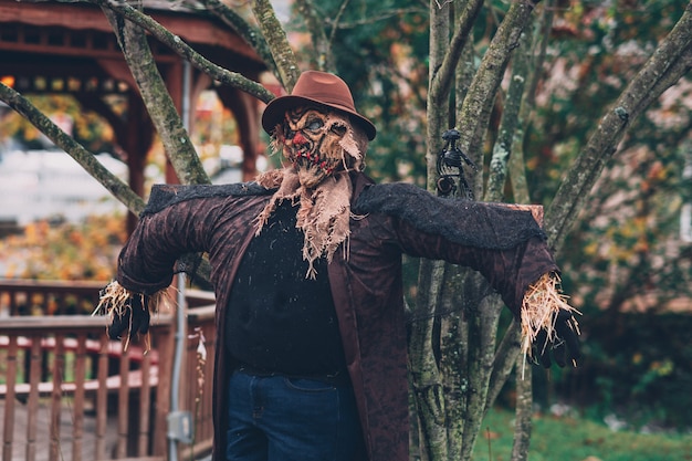 Shot of a creepy scarecrow with a hat beside a tree