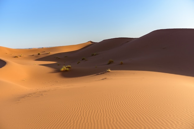 Shot of the dunes in the desert of Sahara, Morocco