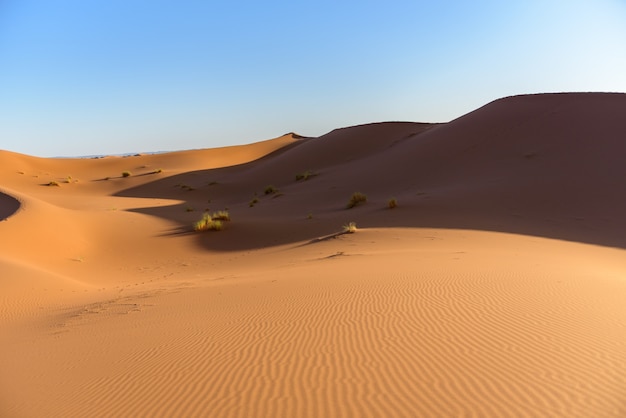 モロッコ、サハラ砂漠の砂丘のショット
