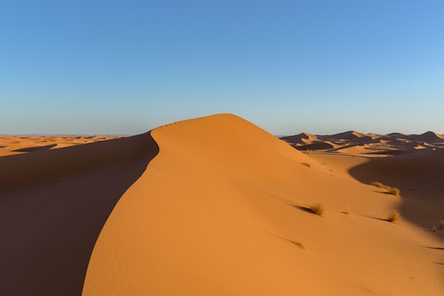 모로코 사하라 사막의 모래 언덕 샷