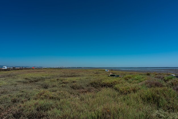 Cais Palafítico da Carrasqueira, 포르투갈의 해변 옆에 잔디 필드의 총