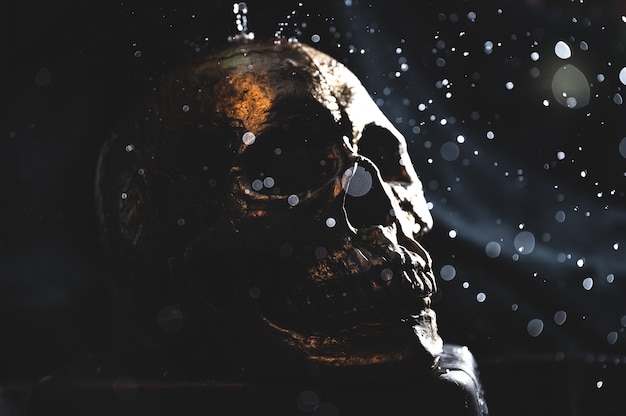 shot of a human skull on black