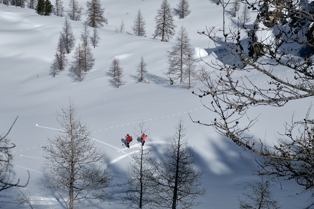 눈으로 덮인 산의 총, Col de la Lombarde Isola 2000 프랑스에서 하이킹하는 사람들