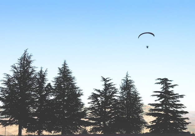 Inquadratura di un paracadutista che si slancia nel cielo sopra le conifere