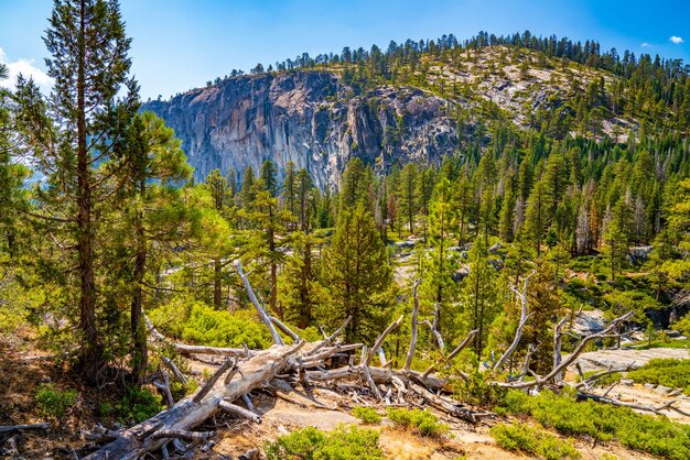 Shot of the picturesque nature of the Yosemite National Park