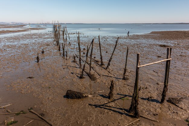 Shot of pier remnants in Cais Palafítico da Carrasqueira, Portugal