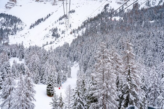 Shot of a ropeway over a snow-covered forest on a mountain
