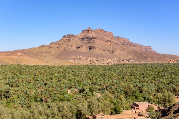 Shot of Tizin -Tinififft, Tamnougalt, Morocco