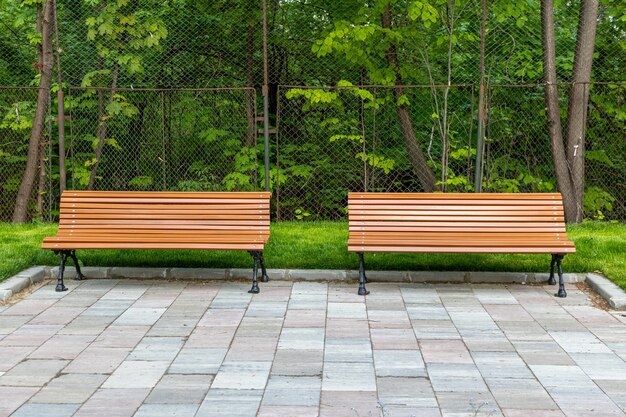 新鮮な緑の草に囲まれた公園で2つの無料のベンチのショット