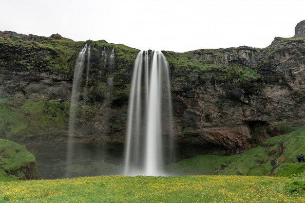 Shot of a waterfall flowing over a rock in the middle of a green scenery