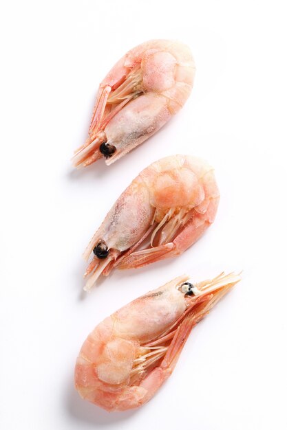 Shrimp isolated on white