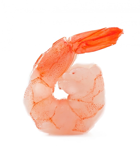 Shrimp Free Stock Photo – Download for Free