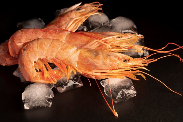 Shrimps on ice cubes close up