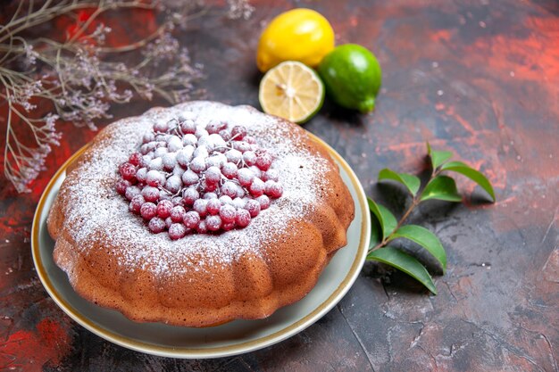 Side close-up view cake an appetizing cake with red currants leaves and citrus fruits