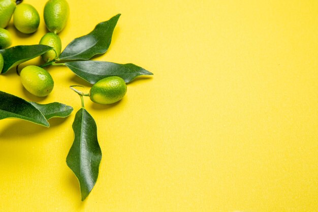 Side close-up view citrus fruits green citrus fruits with leaves on the background