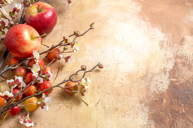 Foto gratuita vista ravvicinata laterale fruttifica gli appetitosi rami di ciliegio e mele con fiori