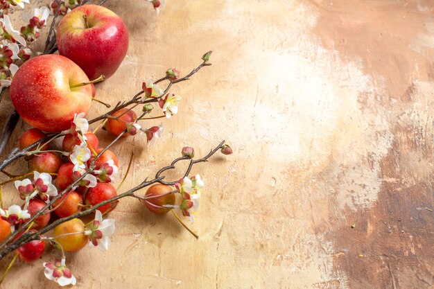Боковой вид крупным планом плоды аппетитных вишневых и яблочных ветвей деревьев с цветами