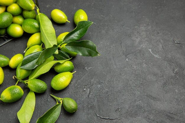 Side close-up view fruits the appetizing fruits with leaves on the dark table