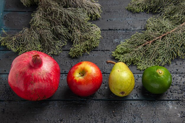 Vista ravvicinata laterale frutti e rami melograno rosso mela pera lime accanto a rami di abete rosso