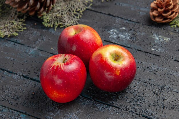 회색 배경에 사과와 원뿔이 있는 가지에 측면 닫기 보기 과일