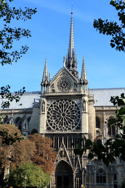 Side entrance and distinctive rose windows of the famous Notre Dame cathedral in Paris 