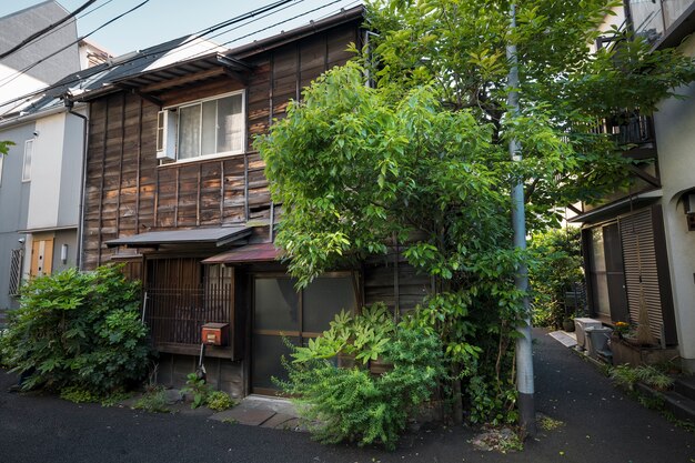 側面図廃屋と緑の植物