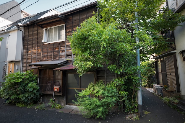 側面図廃屋と緑の植物