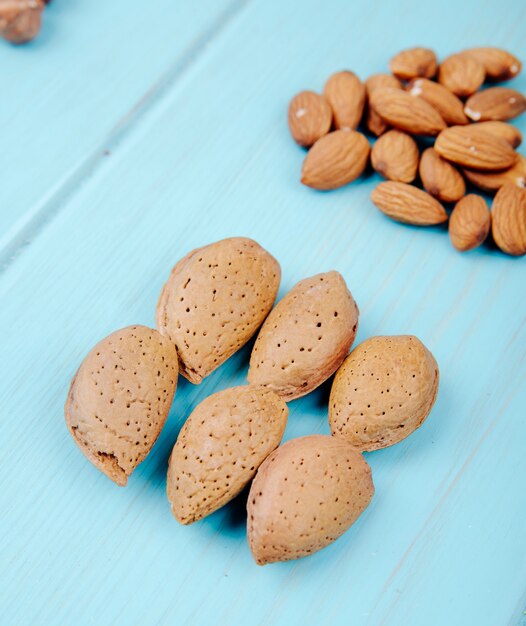 Side view of almond in shell isolated on blue background