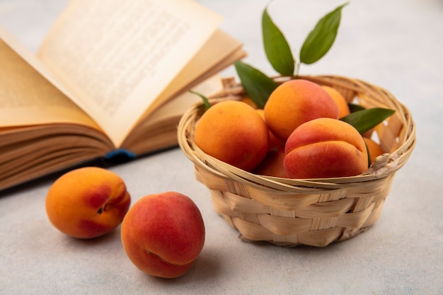 Free photo side view of apricots in basket and open book on white background