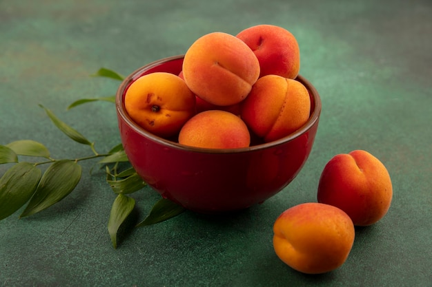 Side view of apricots in bowl with leaves on green background