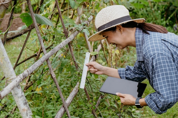タブレットでさまざまな植物を勉強しているアジアの女性の側面図