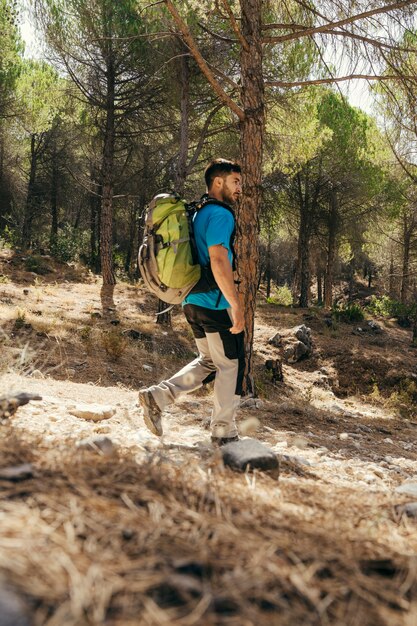 Side view of backpacker in forest