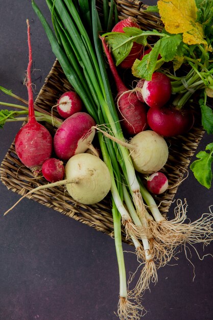 Side view of basket plate of vegetables as radish and scallion on maroon background with copy space