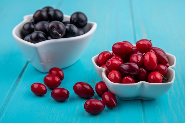 Side view of black grapes on a bowl with cornel berries on a blue wooden background