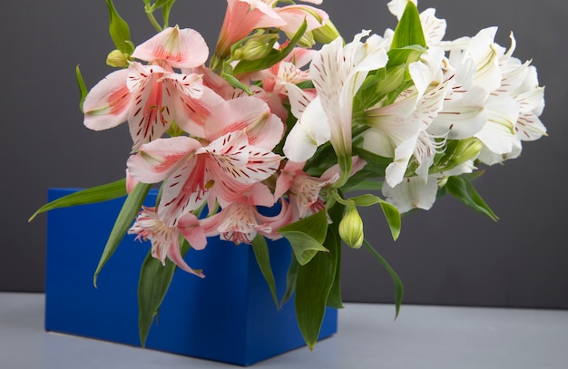 Side view of a bouquet of pink and white color alstroemeria flowers in a blue box on grey background