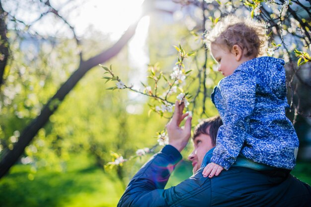 Side view of boy on his father's shoulders and looking at a branch