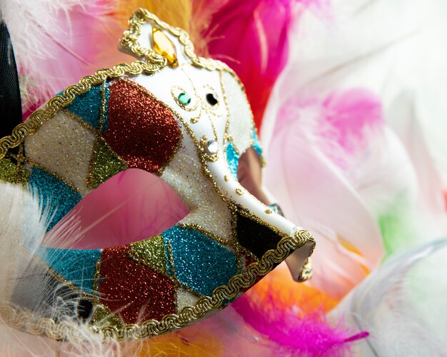 Side view of a carnival mask