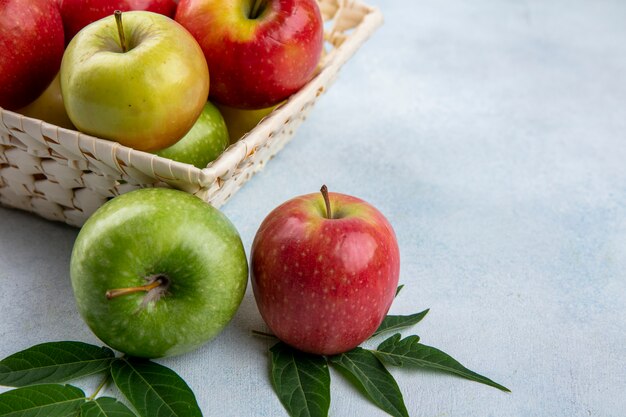 Side view colored apples in a basket with leaf branches on a gray background