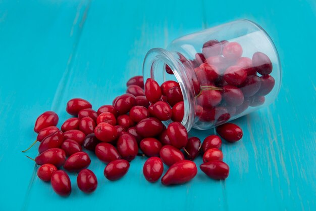 Side view of cornel berries spilling out of jar on blue background