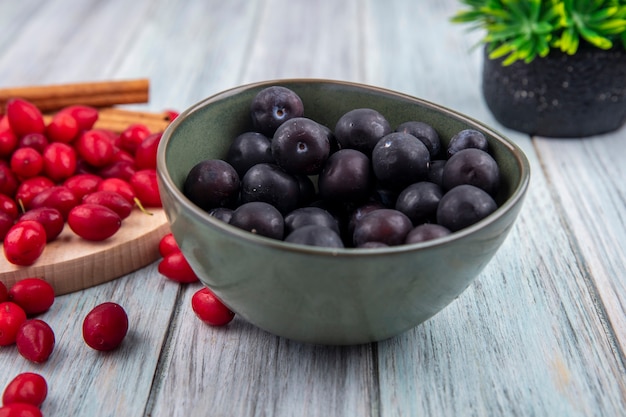 Side view of dark skinned blackthorn on a bowl with red cornel berries on a wooden kitchen board with cinnamon sticks on a grey wooden background