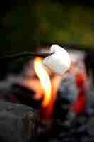 Free photo side view delicious marshmallow on stick