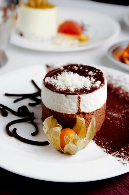 Side view of dessert tiramisu on a white plate