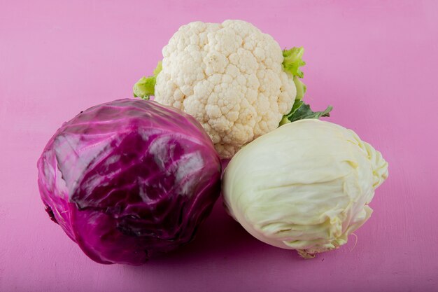 Side view of different types of cabbage as cauliflower white and purple ones on purple background with copy space