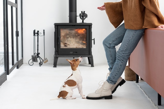 Free photo side view of dog listening to its owner