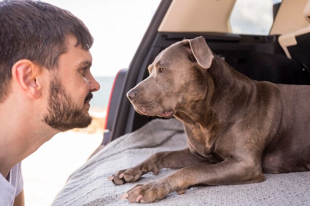 Side view dog looking at his owner