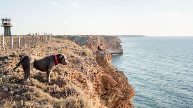Side view dog taking a walk next to his owner on a coast with copy space