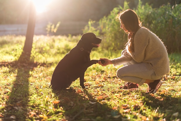 Foto gratuita vista laterale della mano della donna e del cane che agita nel parco