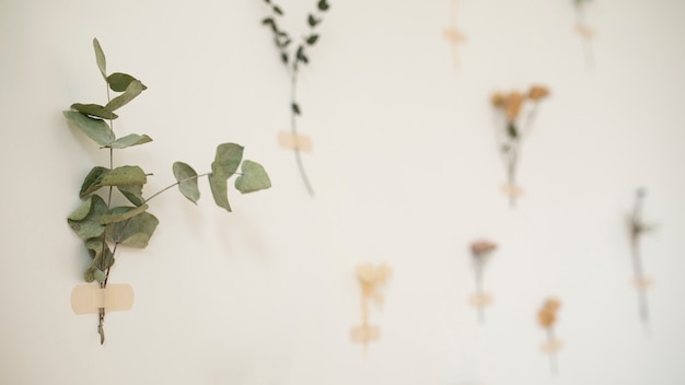 Free photo side view dried flowers on wall